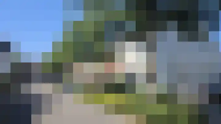 De Groene Arend 64 Wormerveer thumbnail 30