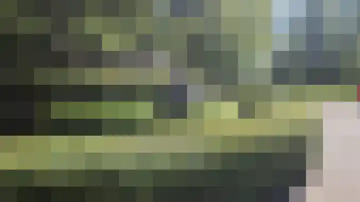 De Groene Arend 64 Wormerveer thumbnail 31