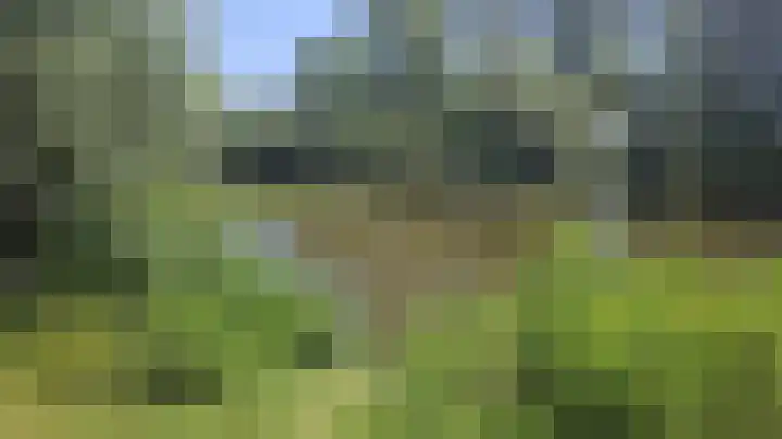 De Groene Arend 64 Wormerveer thumbnail 34