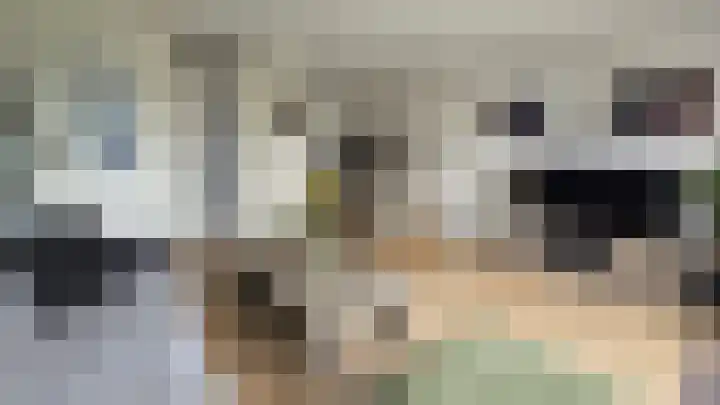 De Groene Arend 64 Wormerveer thumbnail 4