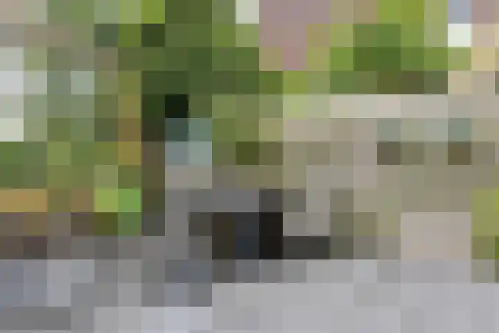 De Groene Boer 22 Wormerveer thumbnail 12