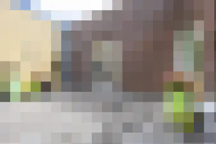 De Groene Boer 22 Wormerveer thumbnail 14