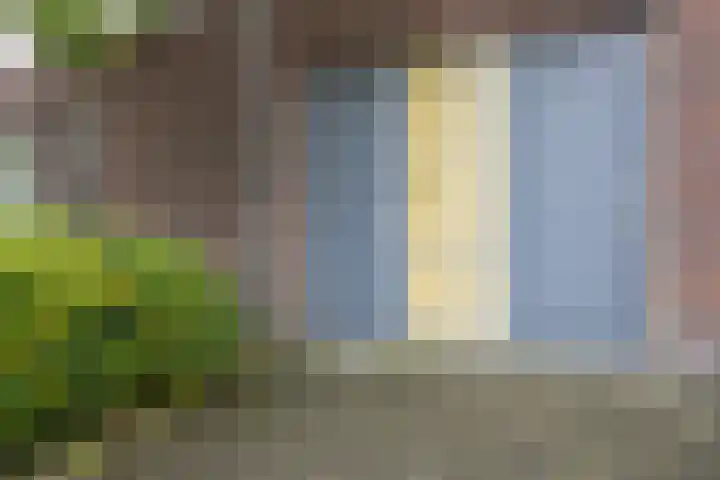 De Groene Boer 22 Wormerveer thumbnail 27