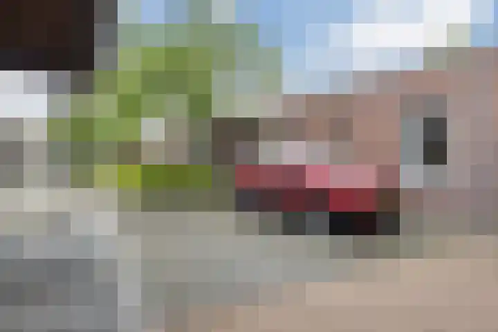 De Groene Boer 22 Wormerveer thumbnail 28