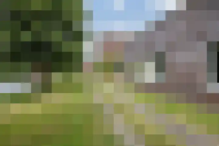 De Groene Boer 22 Wormerveer thumbnail 30