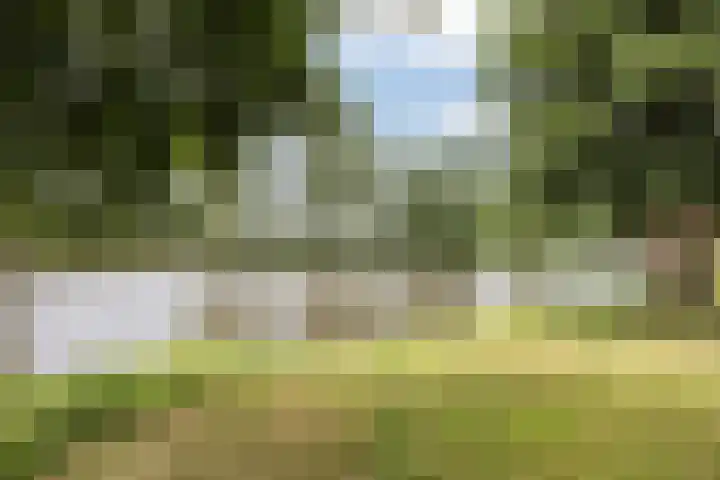 De Groene Boer 22 Wormerveer thumbnail 31