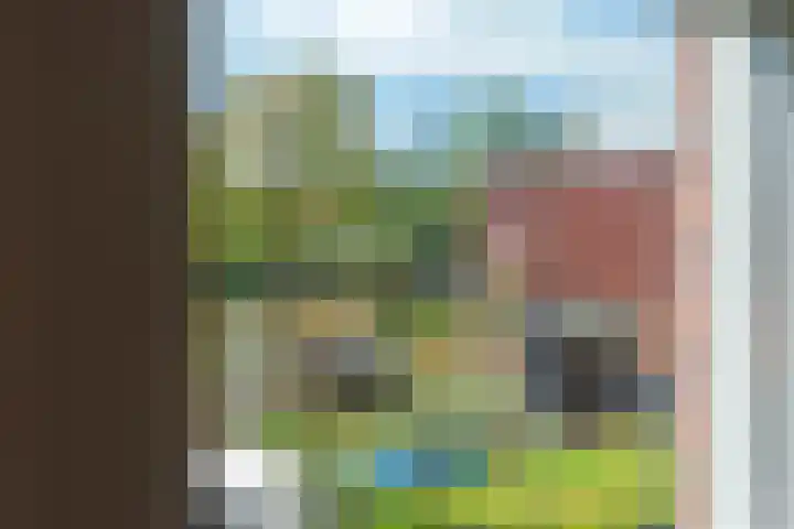 De Groene Boer 36 Wormerveer thumbnail 12