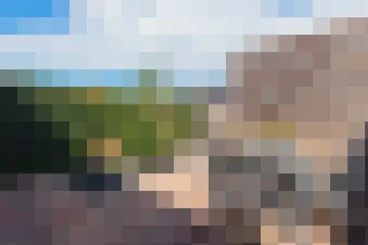 De Groene Boer 36 Wormerveer thumbnail 17