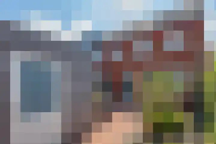De Groene Boer 36 Wormerveer thumbnail 19