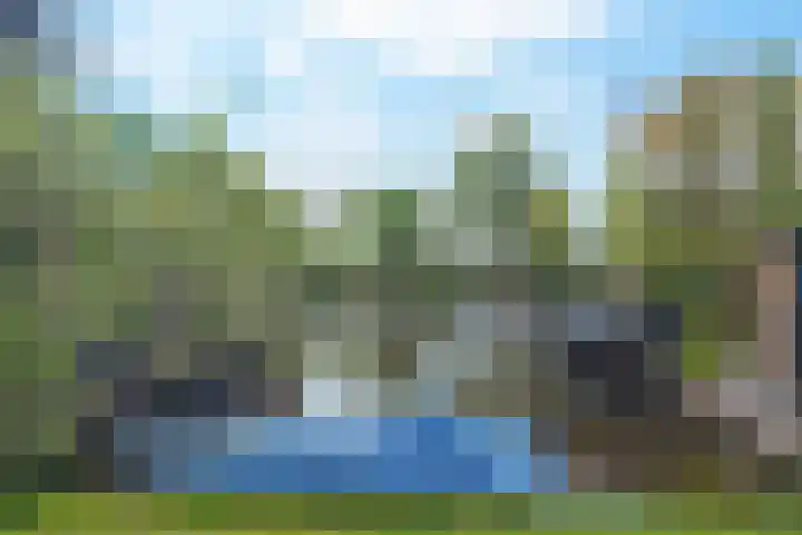 De Groene Boer 36 Wormerveer thumbnail 29