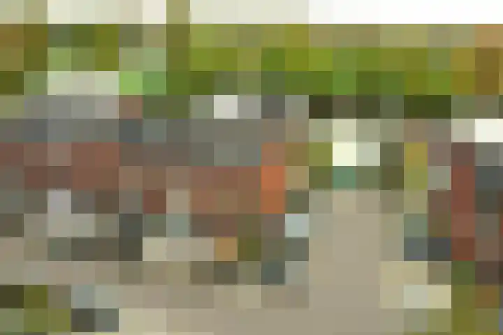 De Groene Boer 36 Wormerveer thumbnail 30