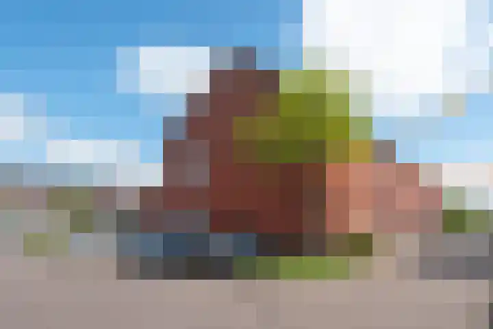 De Groene Boer 36 Wormerveer thumbnail 31