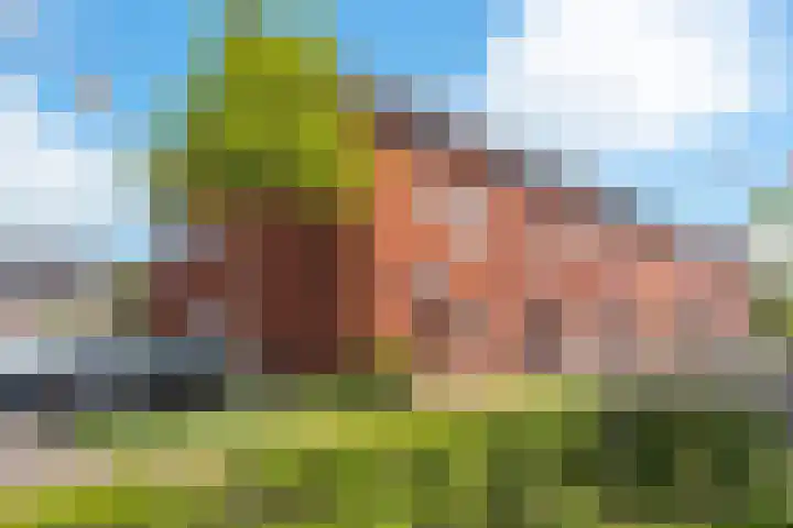 De Groene Boer 36 Wormerveer thumbnail 36