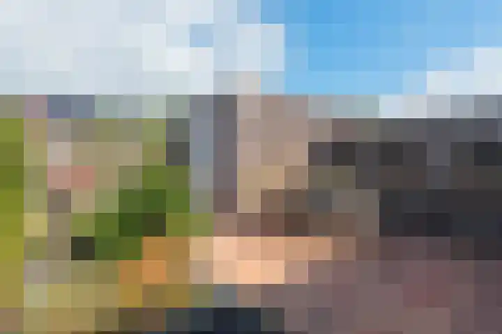 De Groene Boer 36 Wormerveer thumbnail 4