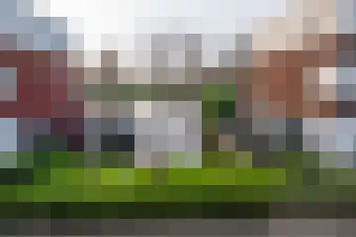De Groene Boer 44 Wormerveer thumbnail 29