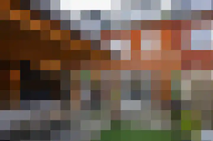 De Groene Boer 44 Wormerveer thumbnail 41