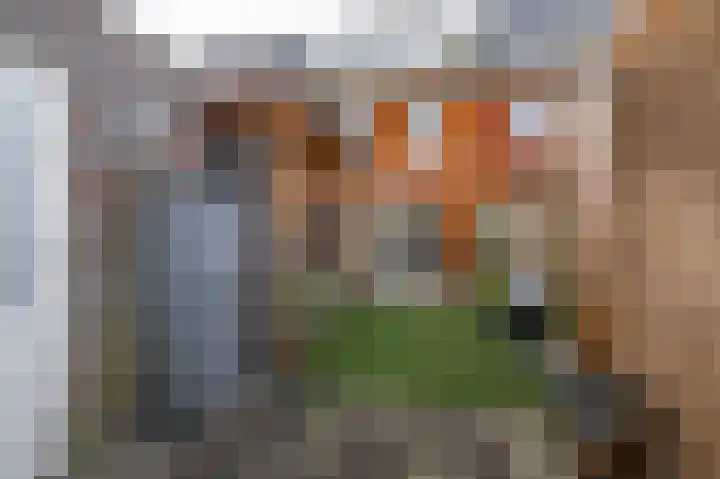 De Groene Boer 44 Wormerveer thumbnail 42