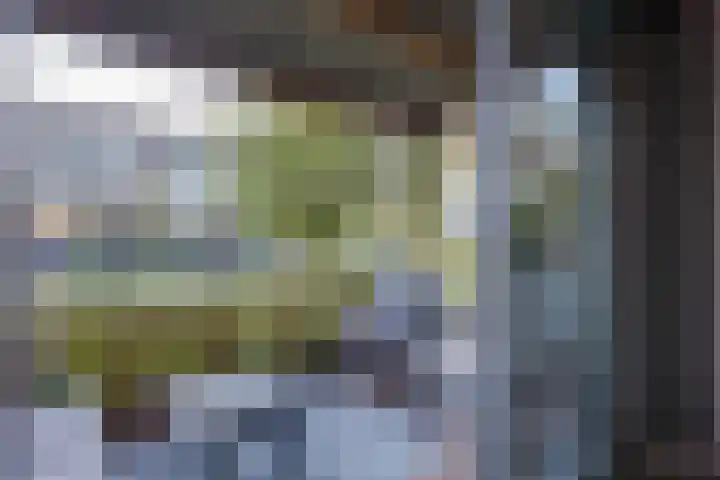 De Groene Boer 8 Wormerveer thumbnail 15