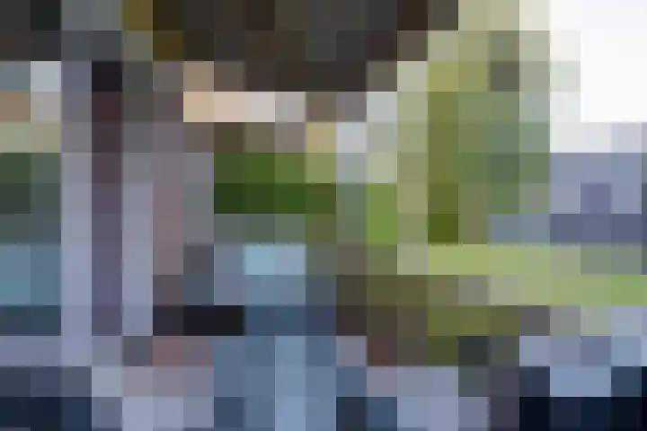 De Groene Boer 8 Wormerveer thumbnail 16