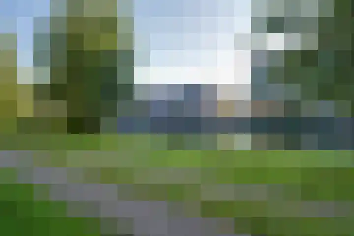 De Groene Boer 8 Wormerveer thumbnail 17