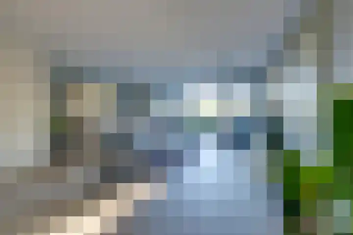 De Groene Boer 8 Wormerveer thumbnail 20