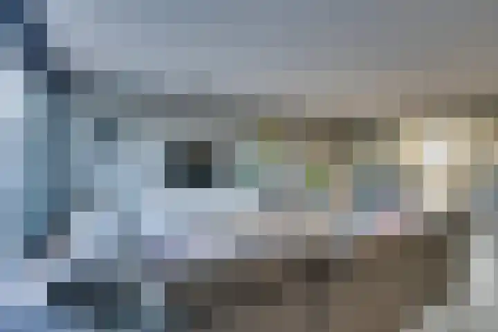 De Groene Boer 8 Wormerveer thumbnail 22