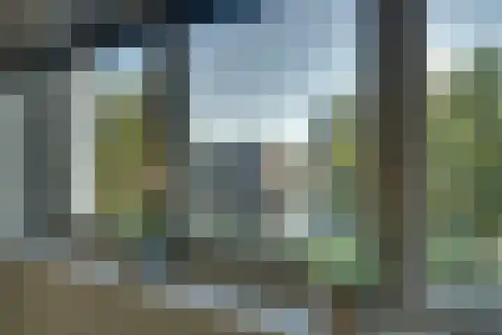 De Groene Boer 8 Wormerveer thumbnail 29