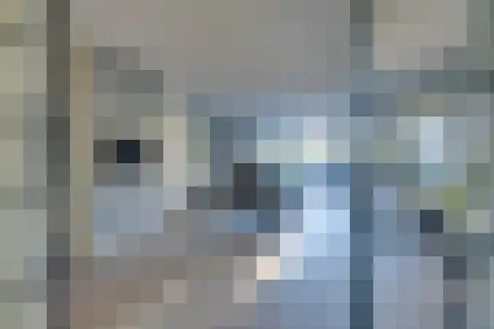 De Groene Boer 8 Wormerveer thumbnail 33