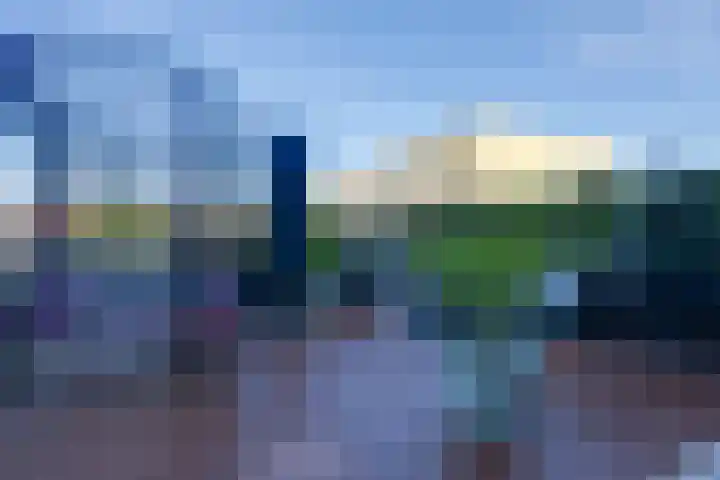 De Groene Boer 8 Wormerveer thumbnail 34