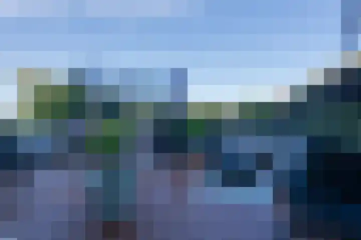 De Groene Boer 8 Wormerveer thumbnail 35