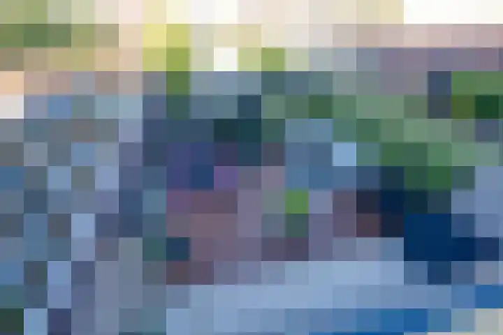 De Groene Boer 8 Wormerveer thumbnail 36
