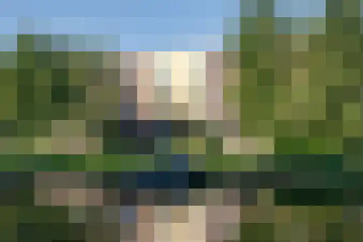 De Groene Boer 8 Wormerveer thumbnail 4