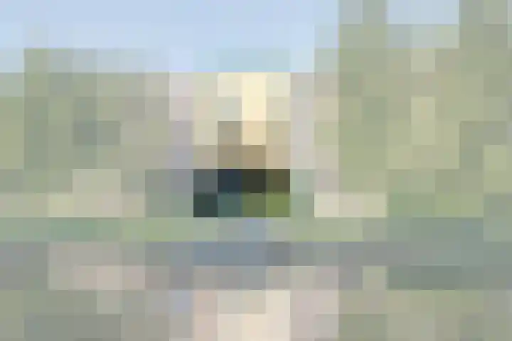 De Groene Boer 8 Wormerveer thumbnail 5