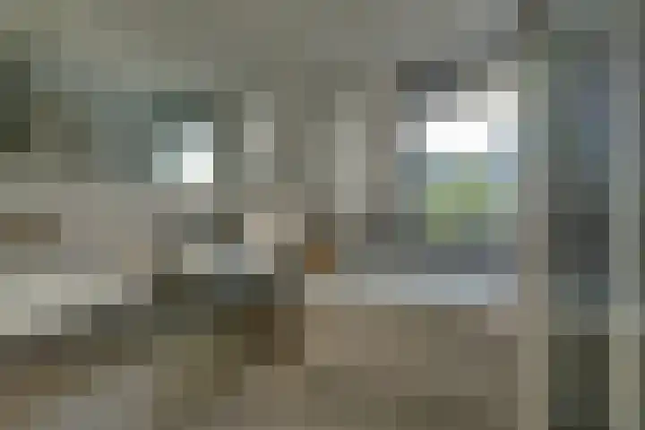 De Groene Boer 8 Wormerveer thumbnail 50