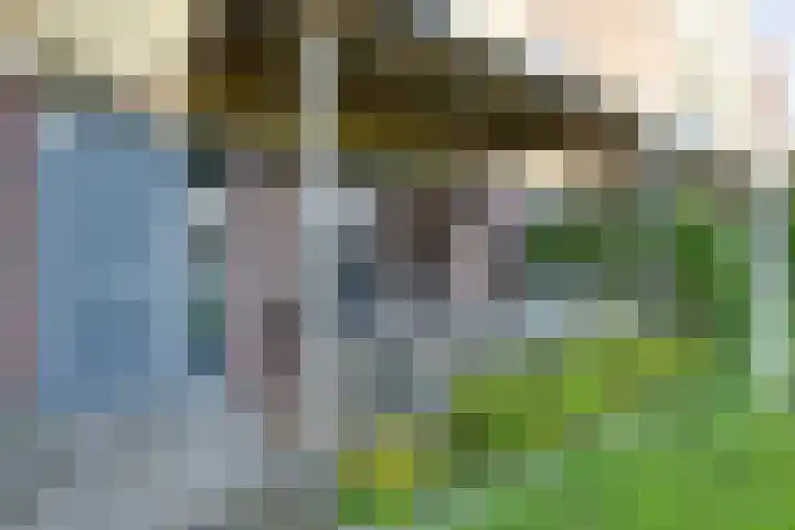 De Groene Boer 8 Wormerveer thumbnail 7