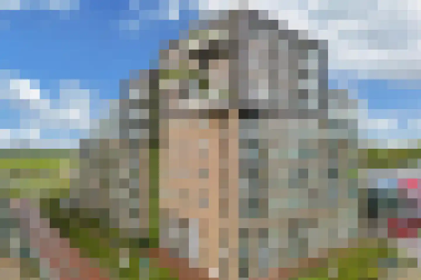 De Groene Trede 38 Heerhugowaard thumbnail 8