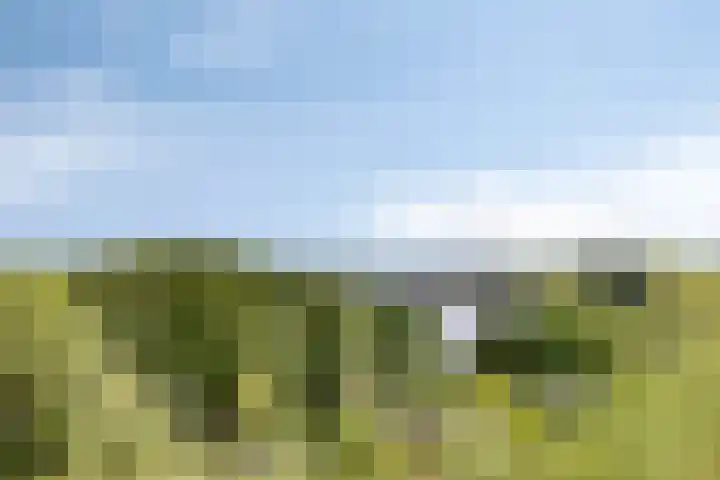 De Groene Trede 43 Heerhugowaard thumbnail 22
