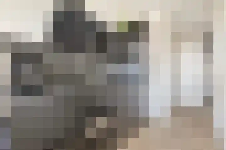 De Groene Trede 52 Heerhugowaard thumbnail 4