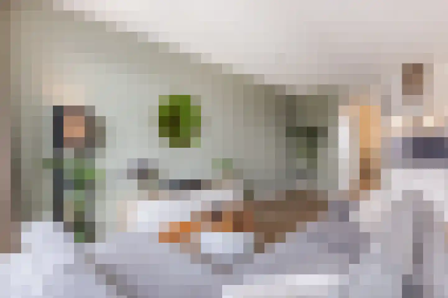 De Groene Trede 57 Heerhugowaard thumbnail 7