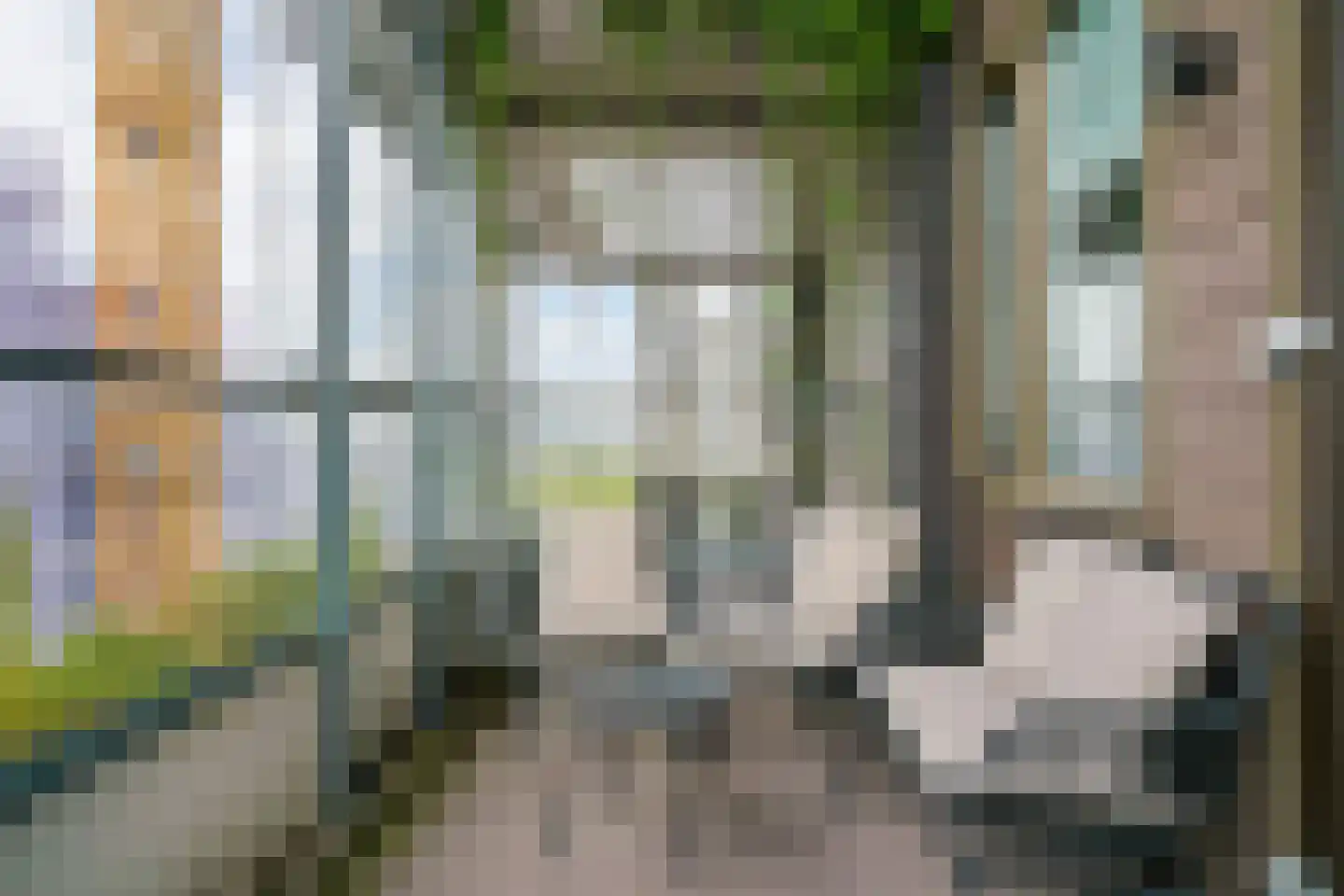 De Groene Trede 59 Heerhugowaard thumbnail 7
