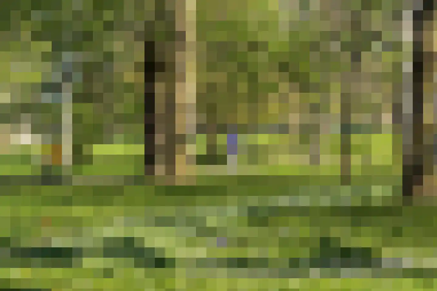 De Groene Trede 7 Heerhugowaard thumbnail 37