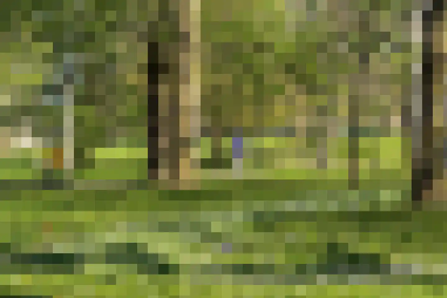 De Groene Trede 7 Heerhugowaard thumbnail 37