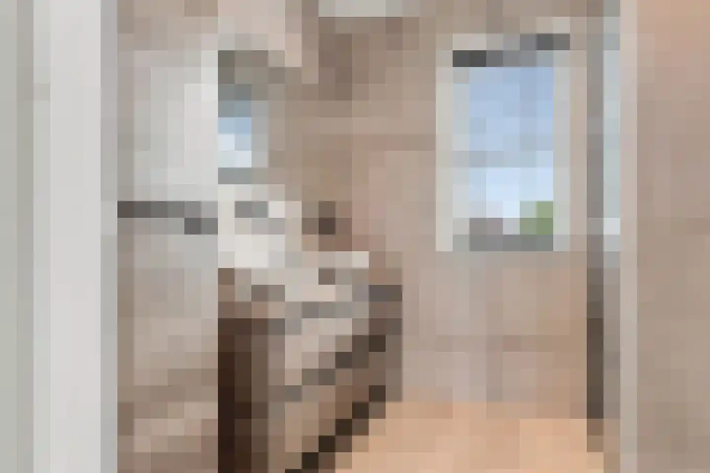 De Groene Valk 2 Wormerveer thumbnail 19