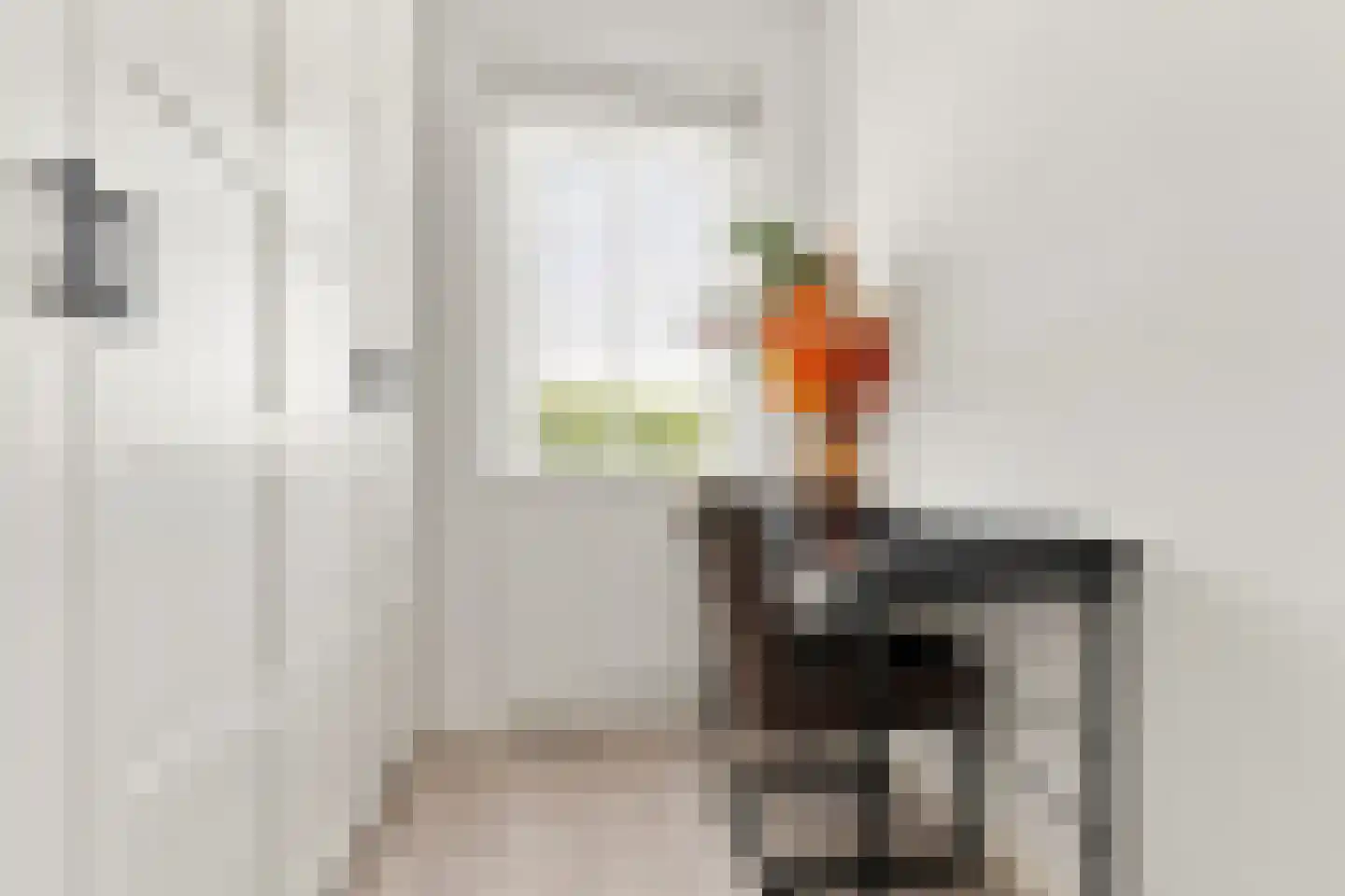 De Groene Valk 2 Wormerveer thumbnail 23