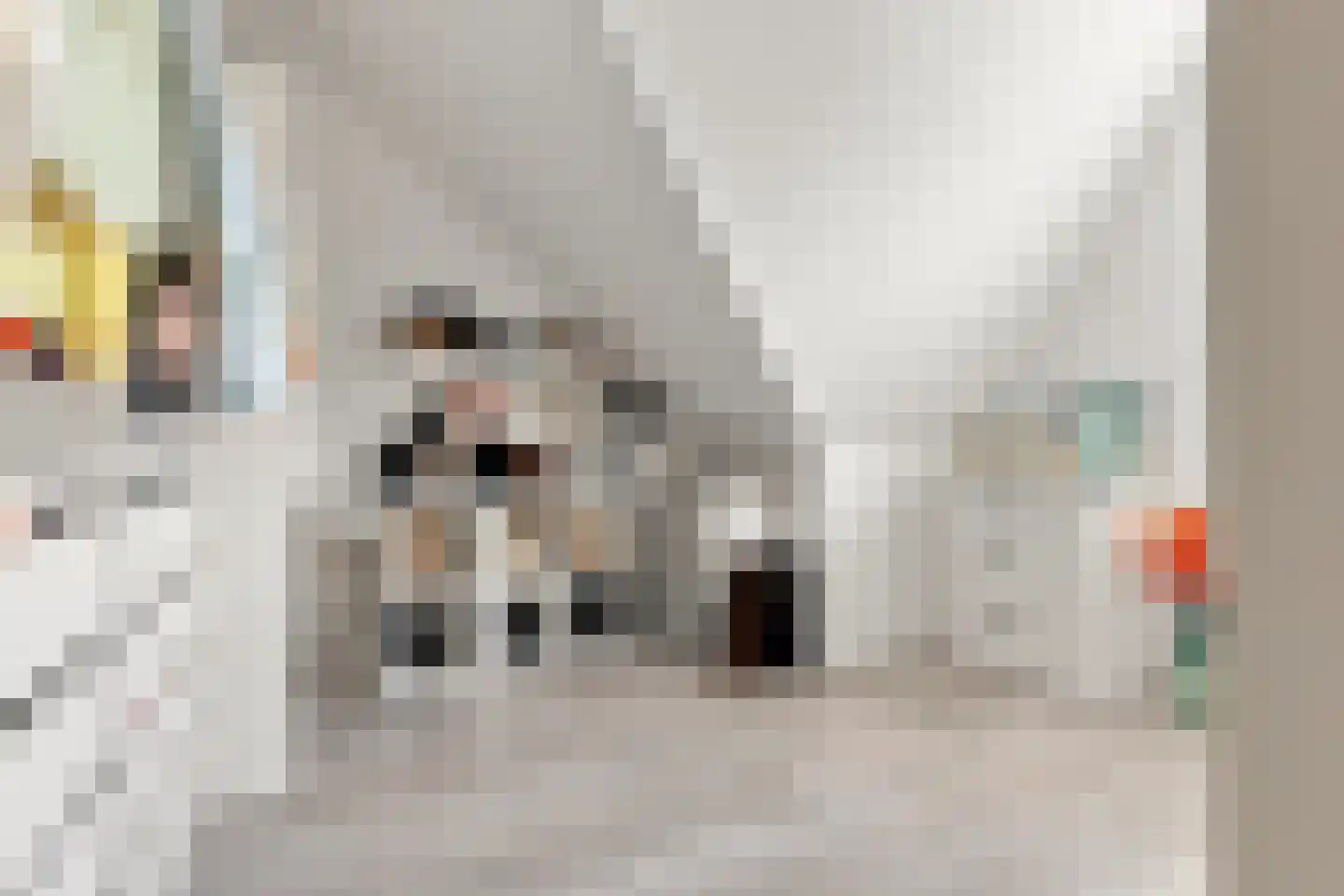 De Groene Valk 2 Wormerveer thumbnail 26