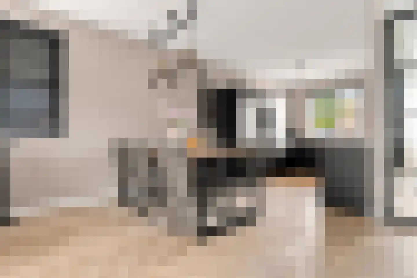 De Groene Valk 2 Wormerveer thumbnail 6