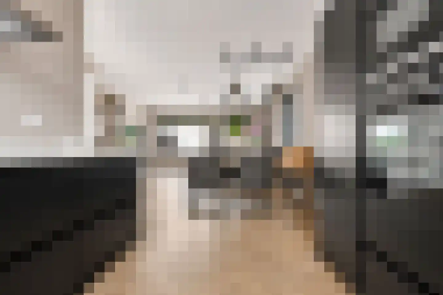 De Groene Valk 2 Wormerveer thumbnail 7