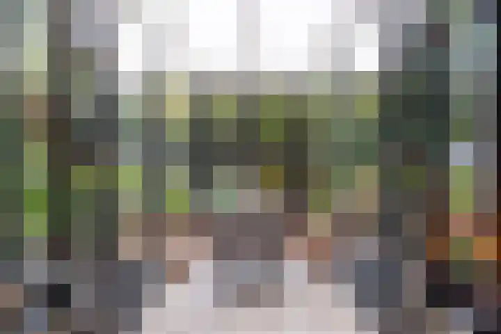 De Groene Voorwaarts 487 Apeldoorn thumbnail 11