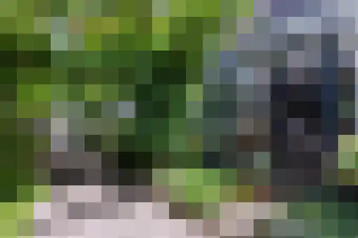 De Groene Voorwaarts 487 Apeldoorn thumbnail 24