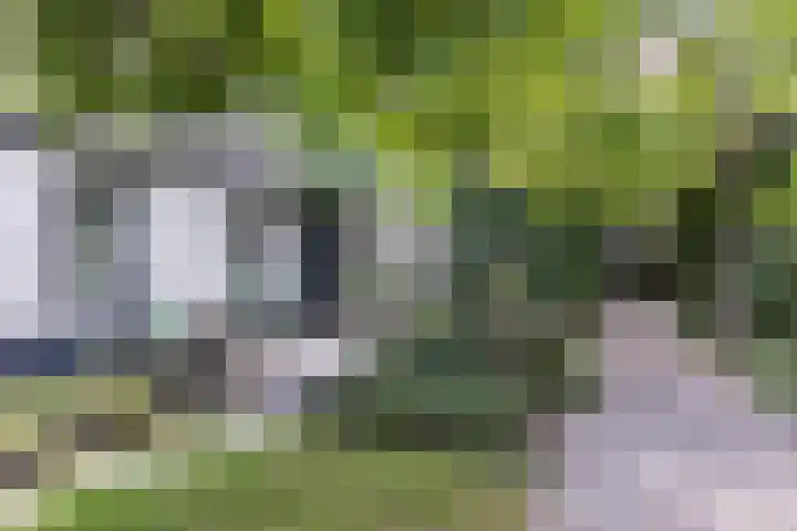 De Groene Voorwaarts 487 Apeldoorn thumbnail 27
